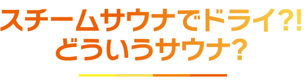 スチームサウナでドライ？！どういううサウナ？